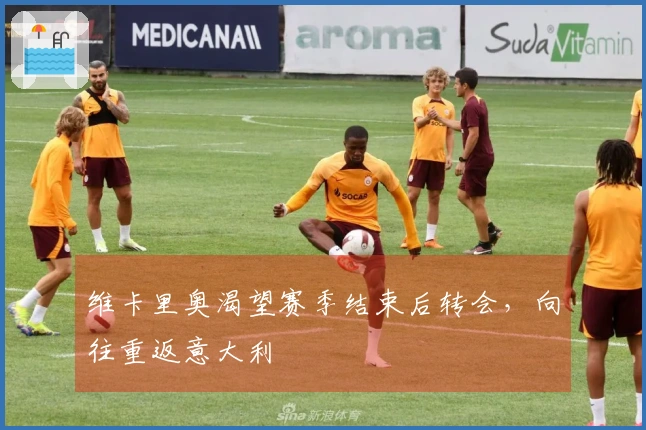 维卡里奥渴望赛季结束后转会，向往重返意大利